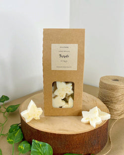 Ivy + Twin Fireside Wax Melts